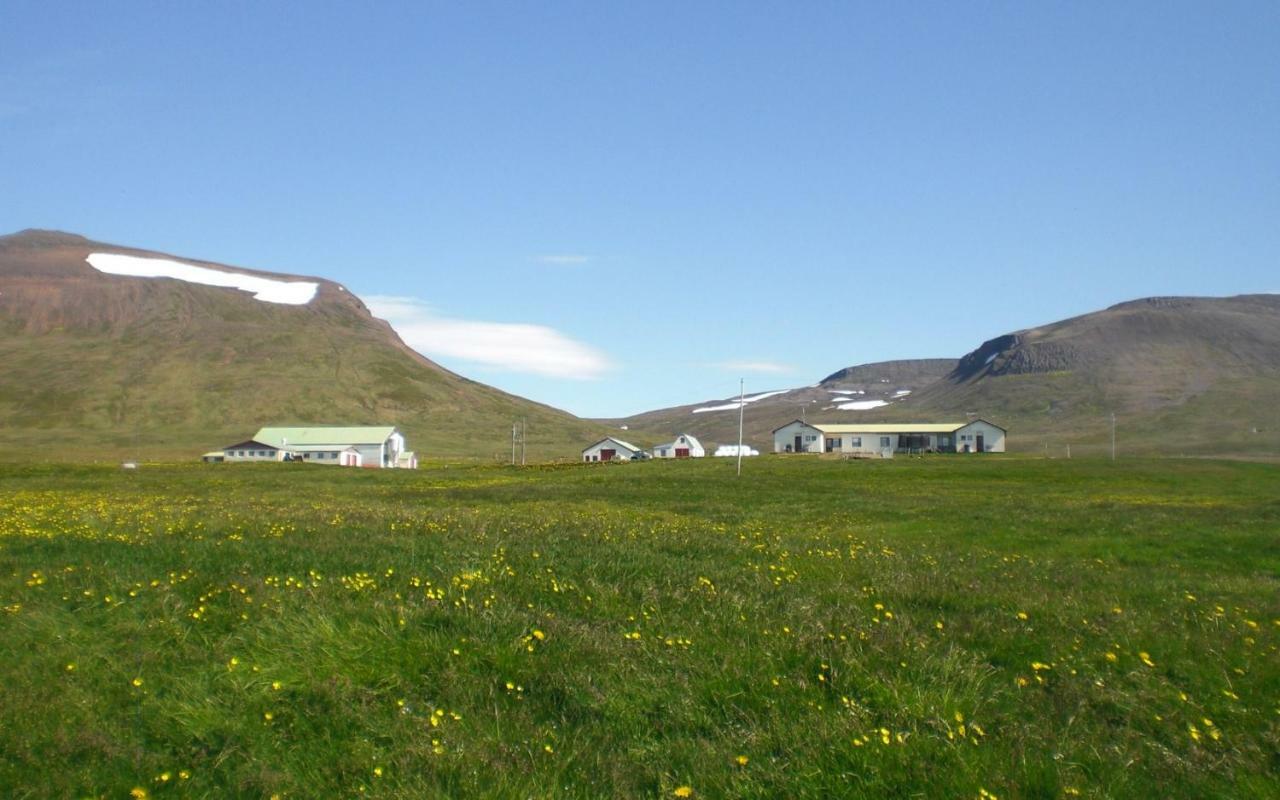 Steinnyjarstathir Skagastrond Exterior photo